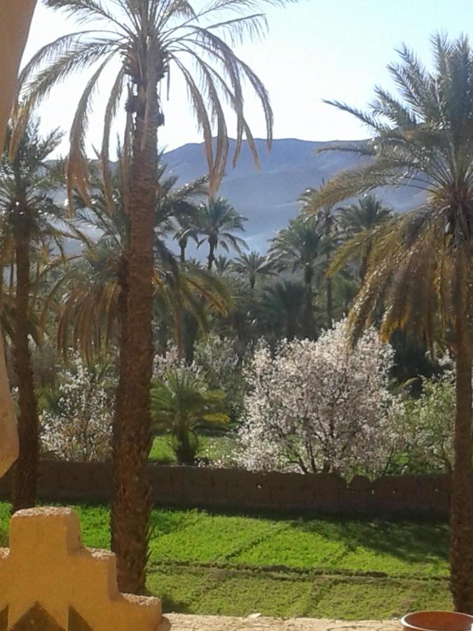 Kasbah Maktob Tamnougalt Hotell Agdz Exteriör bild